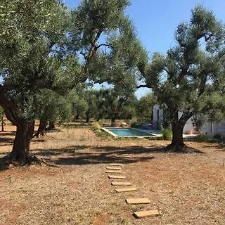 Lamia Fulmine كاروفينيو